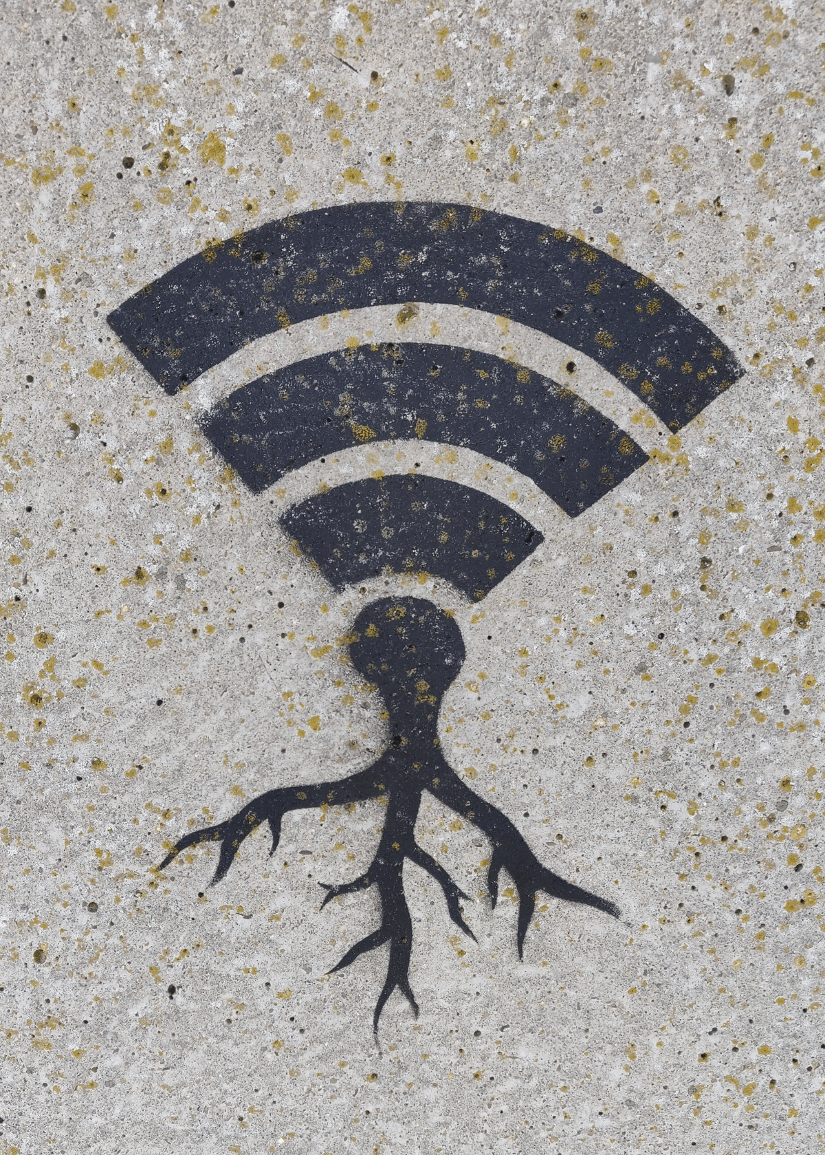 17 Ways to Boost Your Wifi Signals